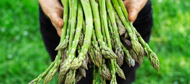 asparagus month