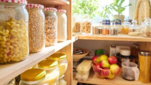 pantry pest