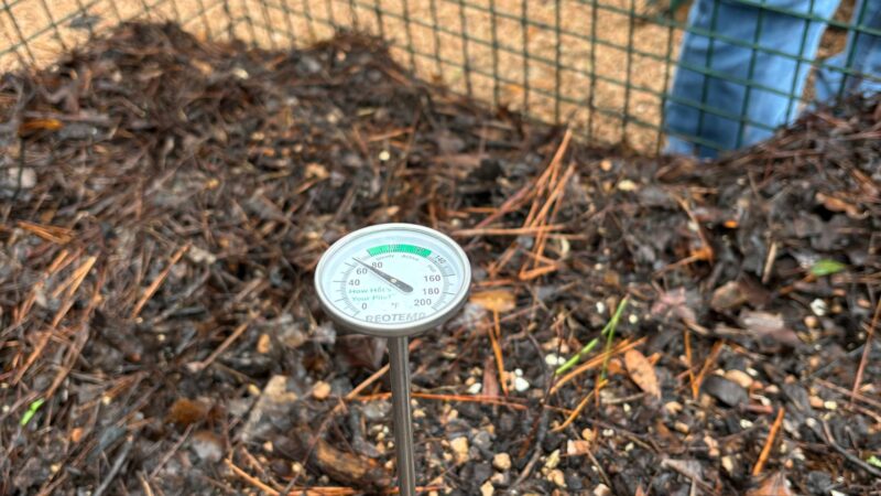 Composting 101: Transforming Kitchen Scraps into Garden Fertility - The ...